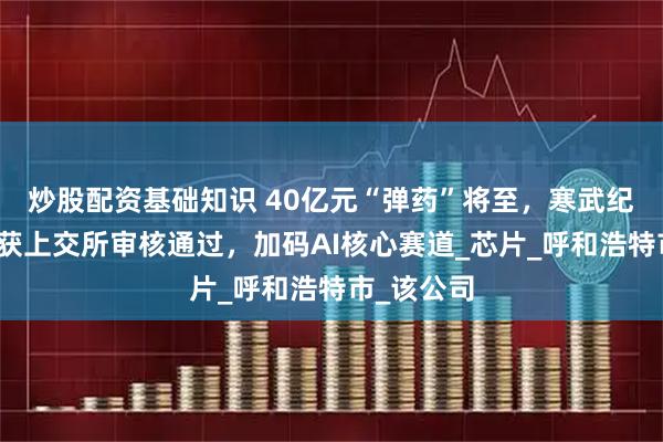 炒股配资基础知识 40亿元“弹药”将至，寒武纪定增方案获上交所审核通过，加码AI核心赛道_芯片_呼和浩特市_该公司